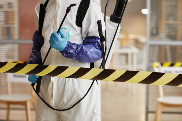 Professional Sewage Cleanup technician working in Kealia, HI